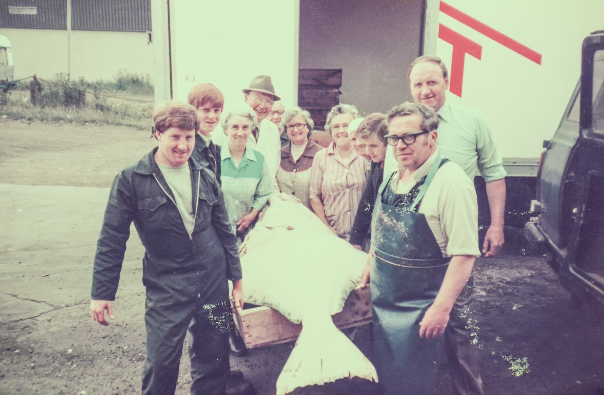A giant halibut being unloaded off the van